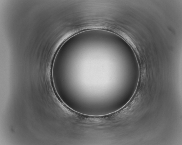 X0000112791197200908281500