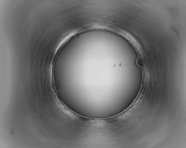 X0000112791198200908281500