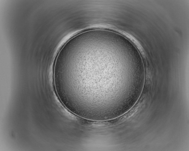 X0000112791199200908281500