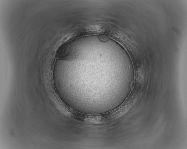 X0000112791201200908281459