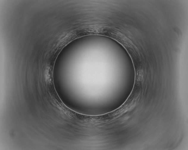 X0000112791202200908281459