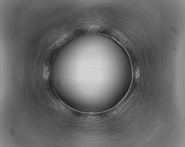 X0000112791204200908281459