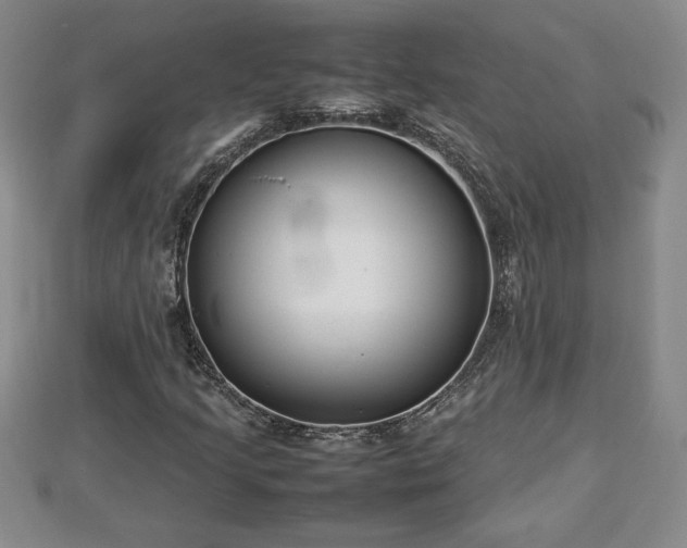 X0000112791205200908281459