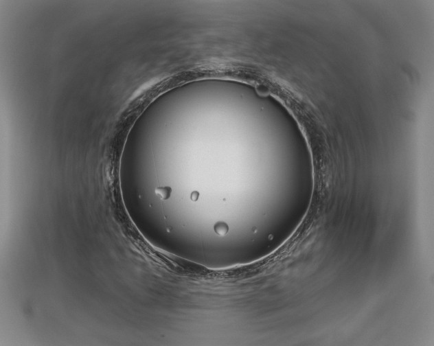 X0000112791206200908281459