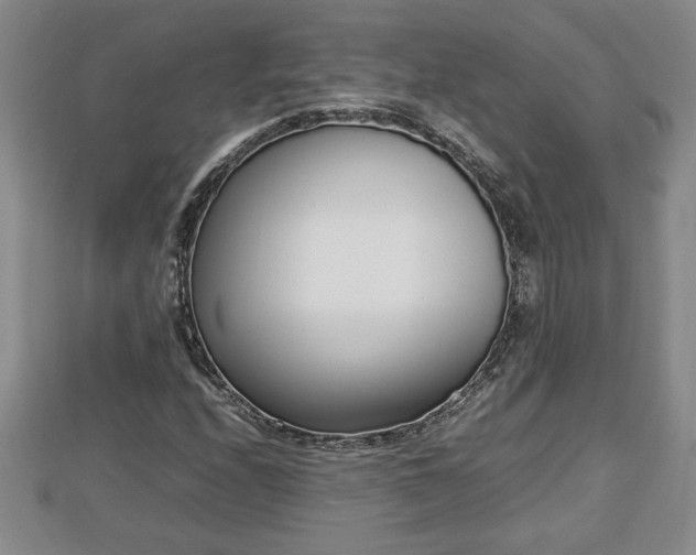 X0000112791208200908281459