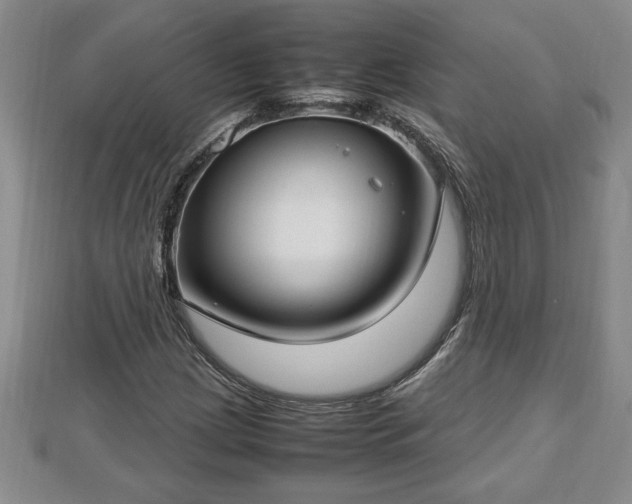 X0000112791209200908281459