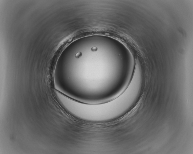 X0000112791210200908281459