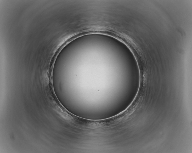 X0000112791212200908281459