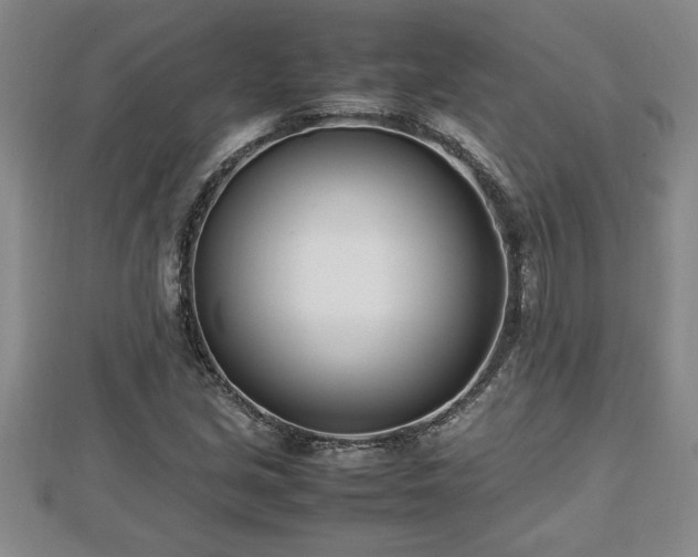 X0000112791213200908281459