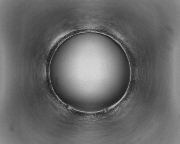 X0000112791214200908281459