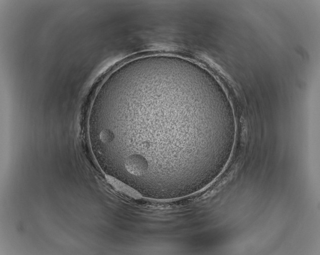 X0000112791215200908281459