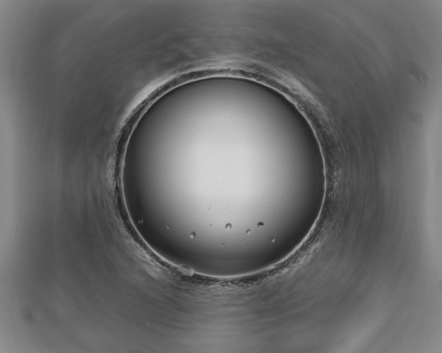 X0000112791216200908281459