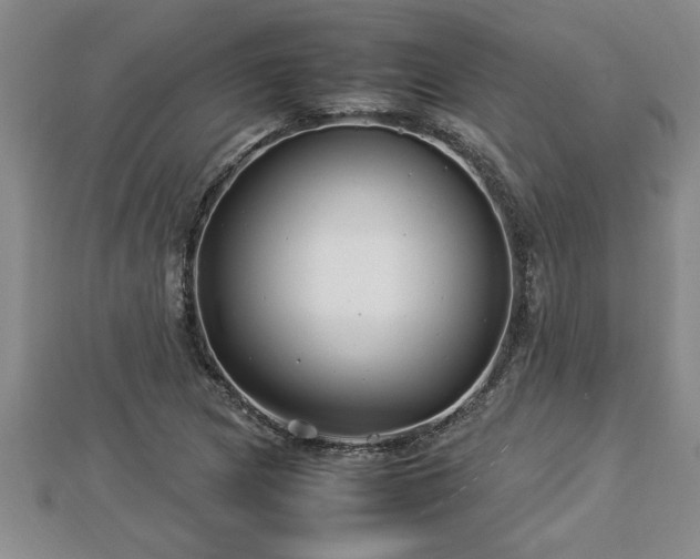 X0000112791217200908281459