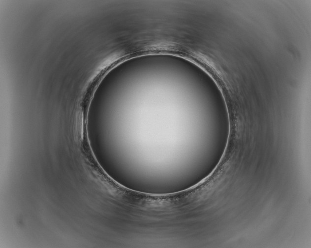 X0000112791219200908281459