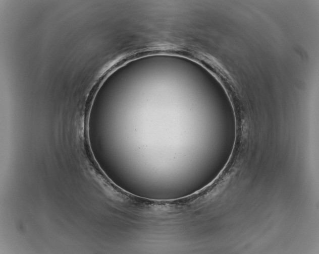 X0000112791220200908281459