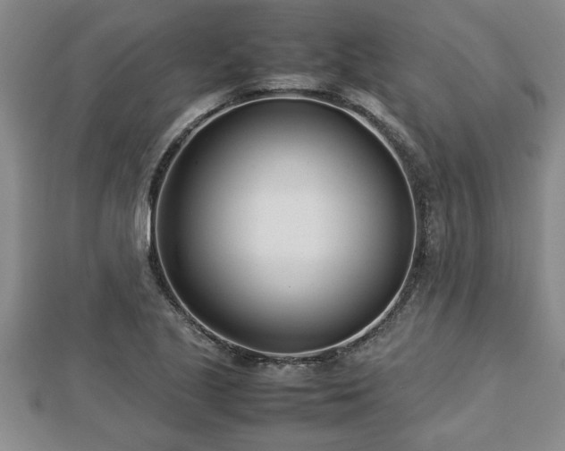 X0000112791221200908281459