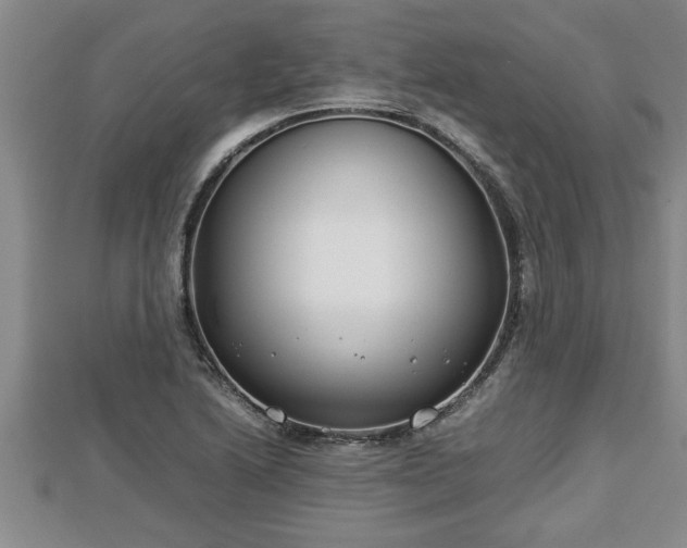 X0000112791222200908281459