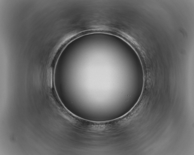 X0000112791223200908281459