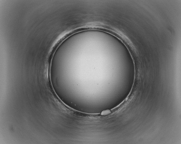 X0000112791224200908281459