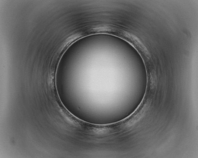 X0000112791225200908281459