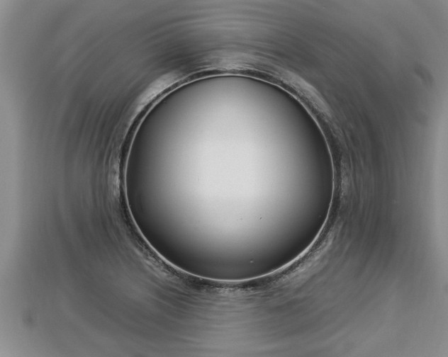 X0000112791226200908281459