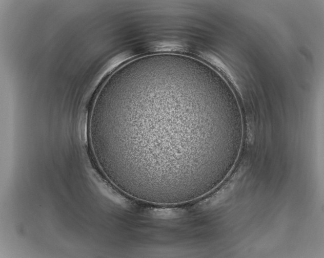 X0000112791227200908281459