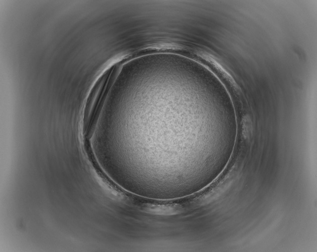 X0000112791229200908281459