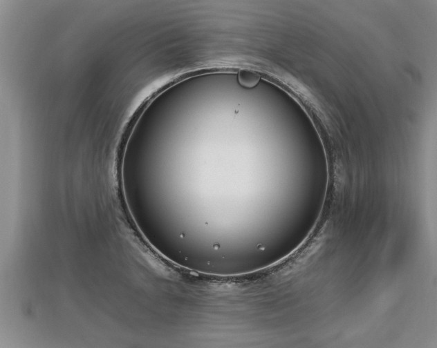 X0000112791230200908281459