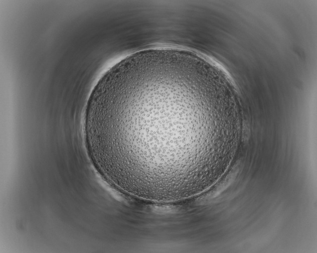 X0000112791231200908281459