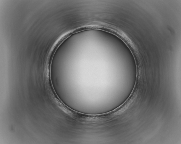 X0000112791232200908281459