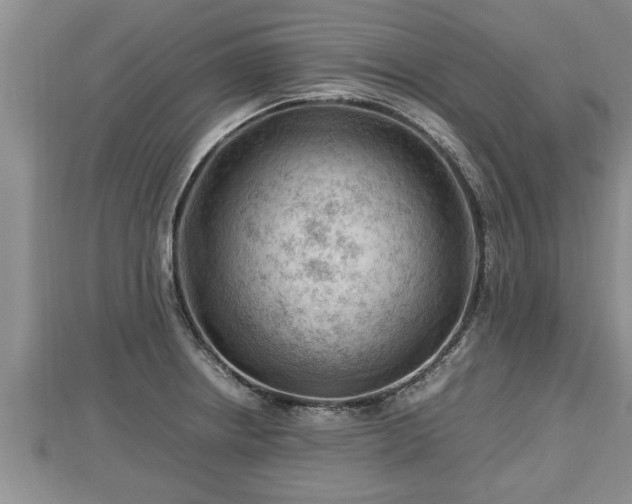 X0000112791234200908281459