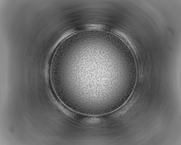 X0000112791235200908281459