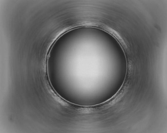 X0000112791236200908281500