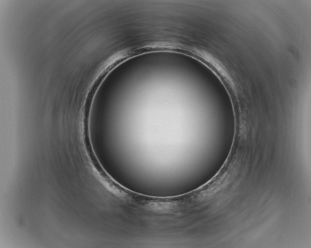 X0000112791237200908281500