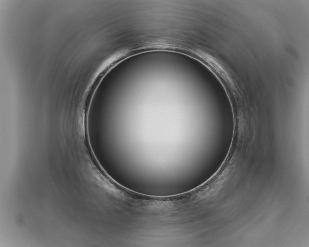 X0000112791238200908281500