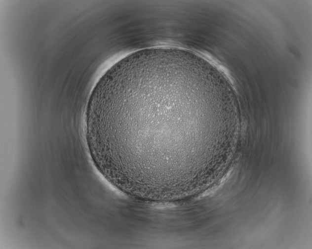 X0000112791239200908281500