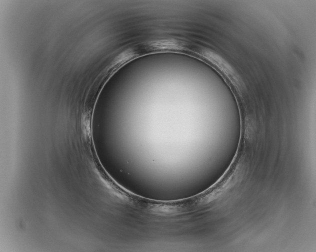 X0000112791241200908281500