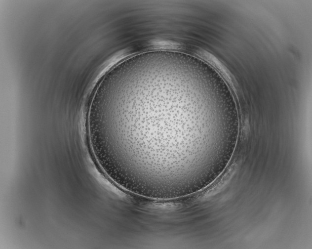 X0000112791243200908281500