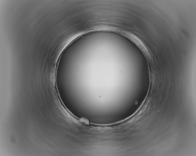 X0000112791244200908281500