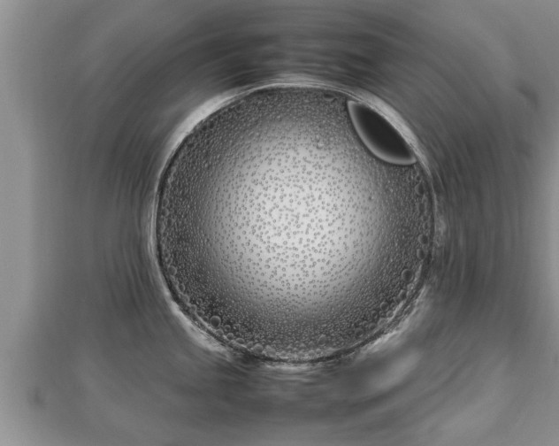 X0000112791245200908281500