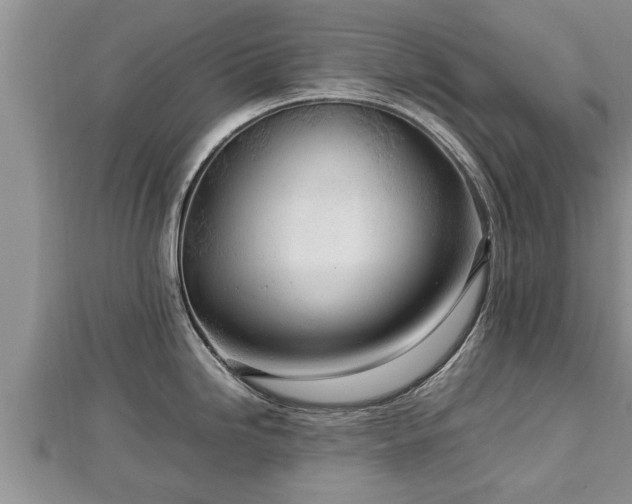 X0000112791246200908281500