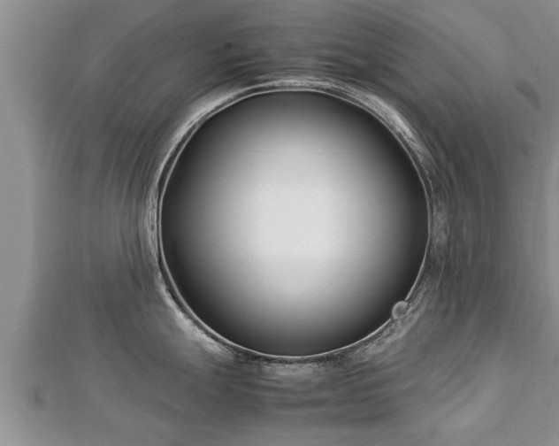 X0000112791247200908281500