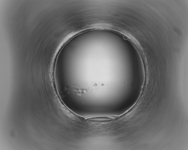 X0000112791248200908281500