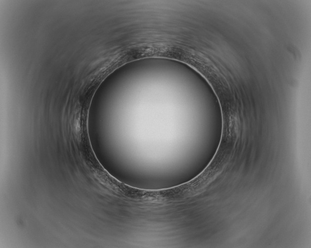 X0000112791250200908281459