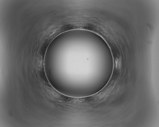 X0000112791251200908281459