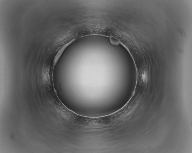 X0000112791252200908281459