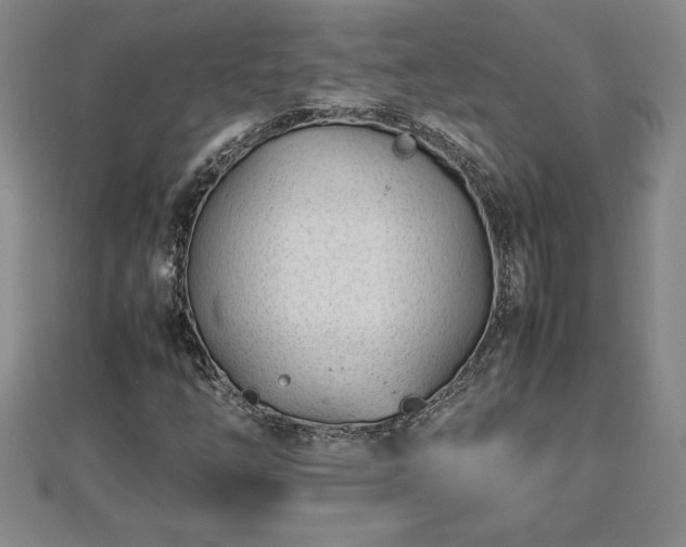 X0000112791254200908281459