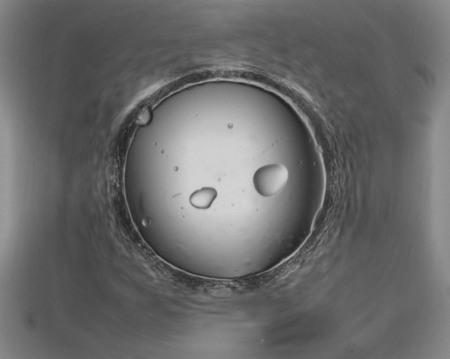 X0000112791255200908281459