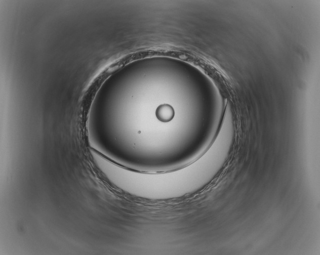 X0000112791256200908281459