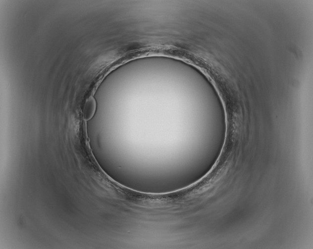 X0000112791257200908281459